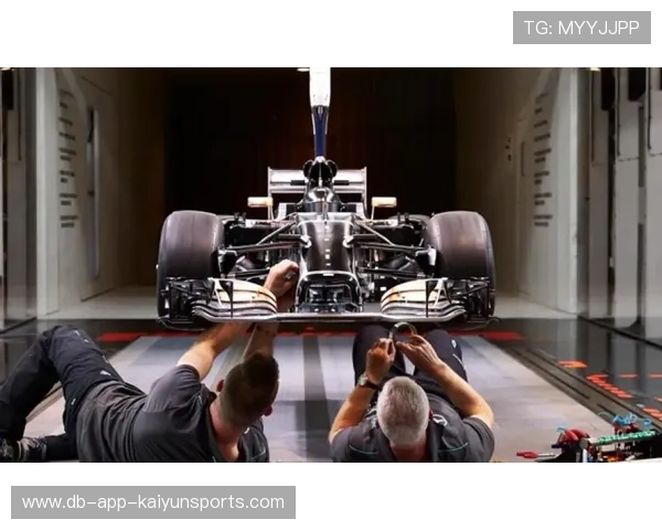 F1风洞使用时间受限 新规推动资源向小车队倾斜